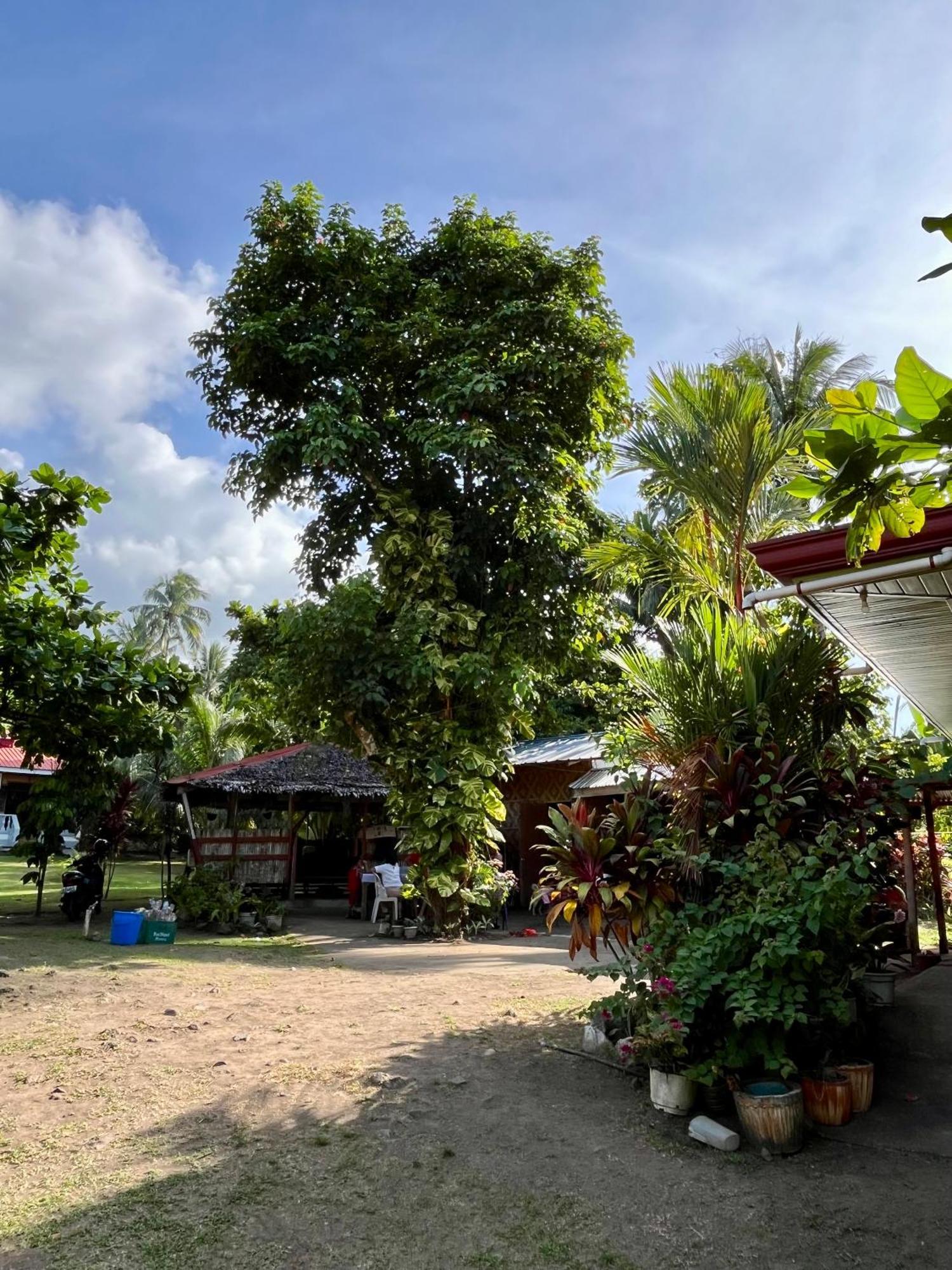 Paco'S Garden Home Stay Mambajao Ngoại thất bức ảnh